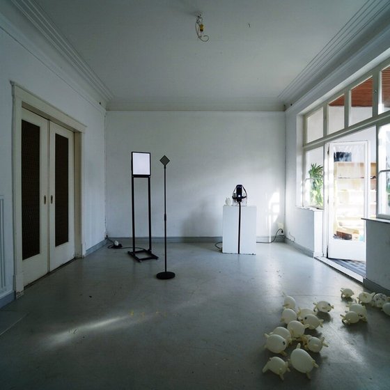 Rauminstallation mit zeitgenössischen Kunstwerken in einem leeren Raum, Circa106.