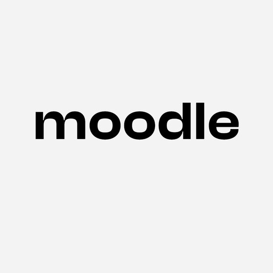 Moodle-Logo in fettgedruckter schwarzer Schrift auf hellgrauem Hintergrund.