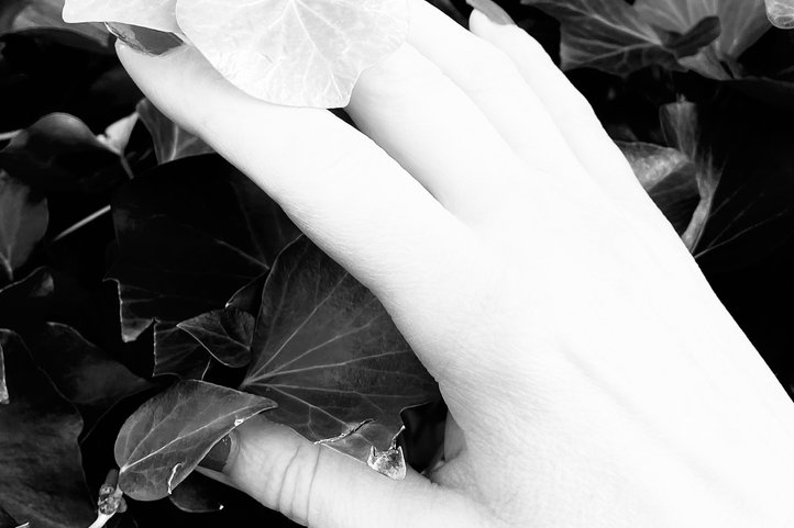 Black and white image of a hand gently touching leaves, highlighting the contrast between skin and foliage